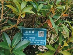 -中国移动南方基地