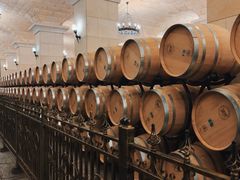 -北京张裕爱斐堡酒庄