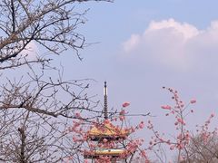 -东湖生态旅游风景区