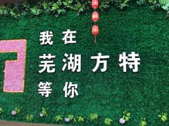 -芜湖方特东方神画