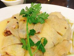 -红星光发煲仔饭(文海店)