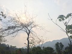 -田心森林公园