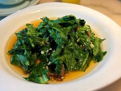 豆豉油麦菜-東大方(安吉灵芝店)