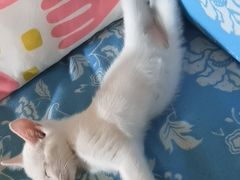 -美联众合24小时·皮肤科·外科·全科诊疗中心(华苑分院)