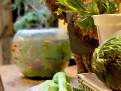 -大水的店(昙华林店)