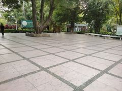 -晓港公园