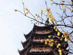 -北寺塔