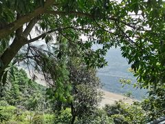 -铁山坪森林公园