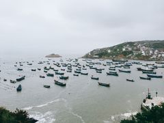 -枸杞岛
