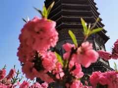 -玲珑塔公园