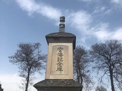 -西安乐游原