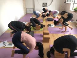 -酉嘉瑜伽YO+YOGA