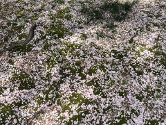 -白塘生态植物园