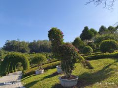 -东莞植物园