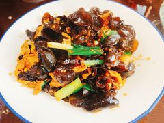-胡胜锐辣椒炒肉(河北店)