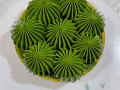 抹茶挞-猫里有甜