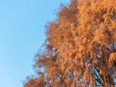 -华熙PARTY匯·量贩KTV(华熙LIVE·528店)