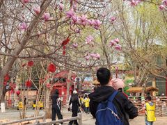 -北戴河集发农业梦想王国