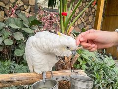 -南宫五洲植物乐园