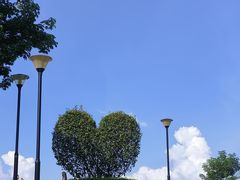 -东莞植物园