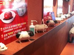 -猪角·闽南猪脚饭(华闽大厦店)