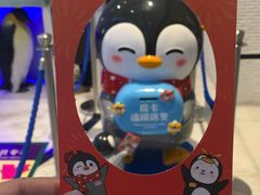 -帝企鹅自助餐厅•儿童岛•真企鹅(长隆企鹅酒店)