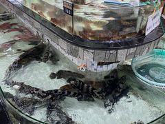 -沙田台山海鲜·酣客酒窖