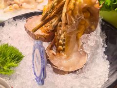 -东海怡品海鲜豆捞(西水东店)