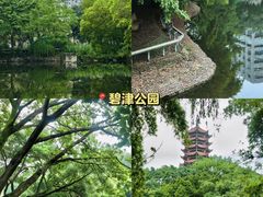 -重庆彩云湖湿地公园