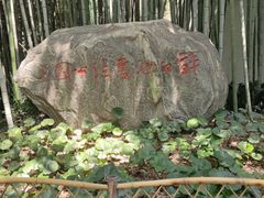 -上海醉白池公园