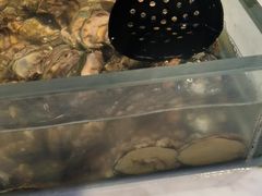 -川骄海鲜自助(河东店)