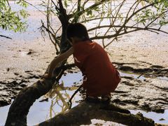 -宝安西湾红树林湿地公园