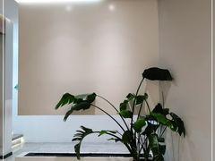 -青梅酒肆PLUS(长白仙岛北路店)