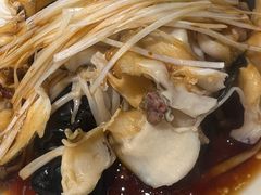 -小海丁