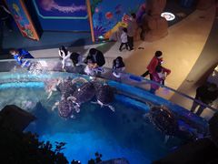 -烟台海昌鲸鲨海洋公园