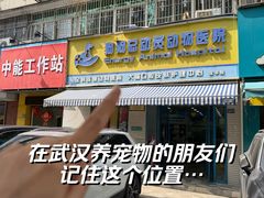 -总动员动物医院(宝丰院店)