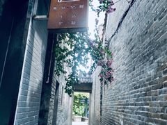-小洲村
