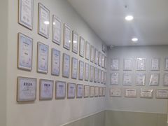 -编程猫·少儿编程(绿宝校区)
