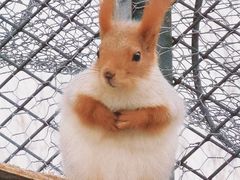 -水上乐园·欢乐世界