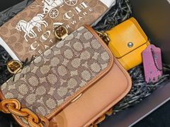 -COACH蔻驰(华润万象城店)