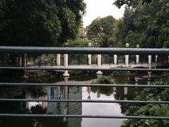 -九龙公园