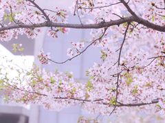 -徐家汇公园