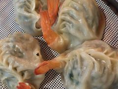 -小叶大馅饺子城