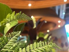 -Ton Ton吨吨小酒馆Live(观前街店)