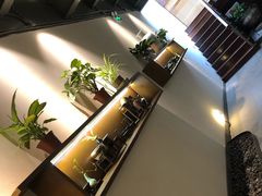 -小湾茶楼