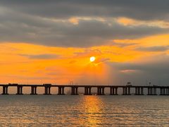 -宝安西湾红树林湿地公园