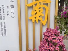 -天津水上公园