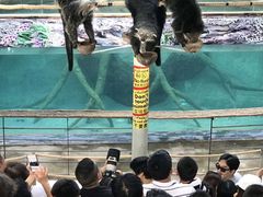 -清迈夜间动物园