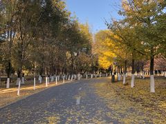 -长白岛森林公园