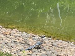 -西安曲江寒窑遗址公园